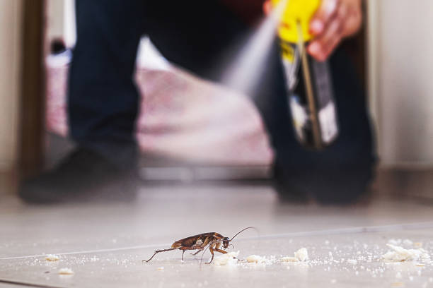 Best Commercial Pest Control Services  in San Diego, CA